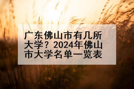 广东佛山市有几所大学？2024年佛山市大学名单一览表
