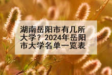 湖南岳阳市有几所大学？2024年岳阳市大学名单一览表