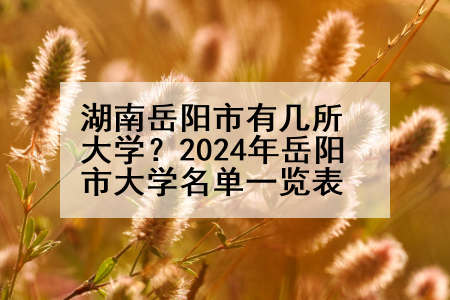 湖南岳阳市有几所大学？2024年岳阳市大学名单一览表