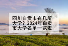 四川自贡市有几所大学？2024年自贡市大学名单一览表