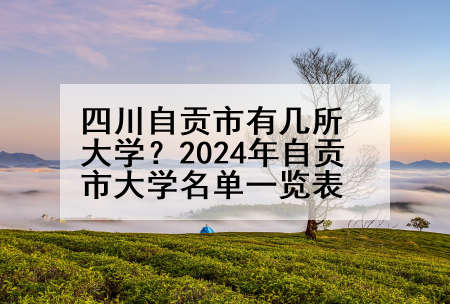 四川自贡市有几所大学？2024年自贡市大学名单一览表