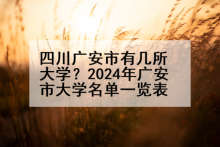 四川广安市有几所大学？2024年广安市大学名单一览表