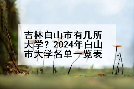 吉林白山市有几所大学？2024年白山市大学名单一览表