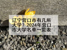 辽宁营口市有几所大学？2024年营口市大学名单一览表