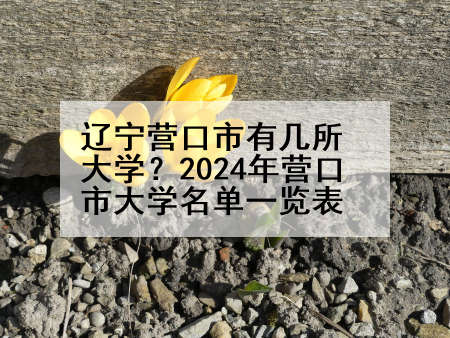 辽宁营口市有几所大学？2024年营口市大学名单一览表