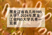 黑龙江省有几所985大学？2024年黑龙江省985大学名单一览表