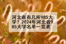 河北省有几所985大学？2024年河北省985大学名单一览表
