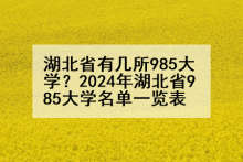 湖北省有几所985大学？2024年湖北省985大学名单一览表