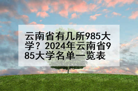 云南省有几所985大学？2024年云南省985大学名单一览表