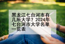 黑龙江七台河市有几所大学？2024年七台河市大学名单一览表
