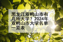 黑龙江双鸭山市有几所大学？2024年双鸭山市大学名单一览表