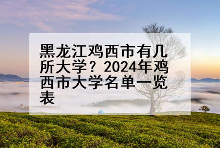 黑龙江鸡西市有几所大学？2024年鸡西市大学名单一览表