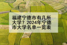 福建宁德市有几所大学？2024年宁德市大学名单一览表