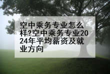 空中乘务专业怎么样?空中乘务专业2024年平均薪资及就业方向