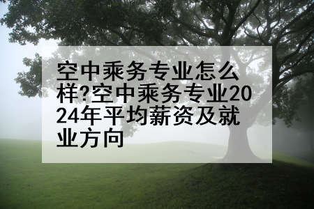 空中乘务专业怎么样?空中乘务专业2024年平均薪资及就业方向