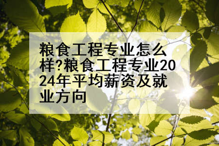 粮食工程专业怎么样?粮食工程专业2024年平均薪资及就业方向