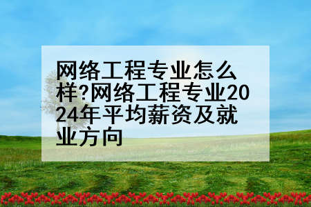 网络工程专业怎么样?网络工程专业2024年平均薪资及就业方向