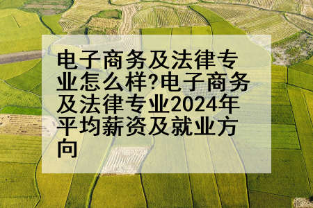 电子商务及法律专业怎么样?电子商务及法律专业2024年平均薪资及就业方向