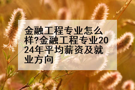 金融工程专业怎么样?金融工程专业2024年平均薪资及就业方向