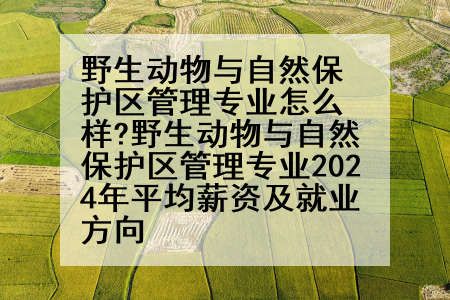 野生动物与自然保护区管理专业怎么样?野生动物与自然保护区管理专业2024年平均薪资及就业方向