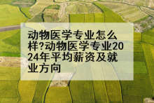 动物医学专业怎么样?动物医学专业2024年平均薪资及就业方向