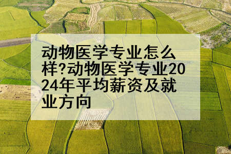 动物医学专业怎么样?动物医学专业2024年平均薪资及就业方向