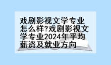 戏剧影视文学专业怎么样?戏剧影视文学专业2024年平均薪资及就业方向