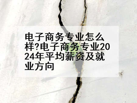 电子商务专业怎么样?电子商务专业2024年平均薪资及就业方向