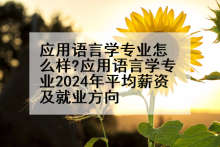 应用语言学专业怎么样?应用语言学专业2024年平均薪资及就业方向