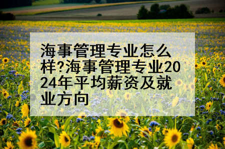 海事管理专业怎么样?海事管理专业2024年平均薪资及就业方向