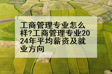工商管理专业怎么样?工商管理专业2024年平均薪资及就业方向