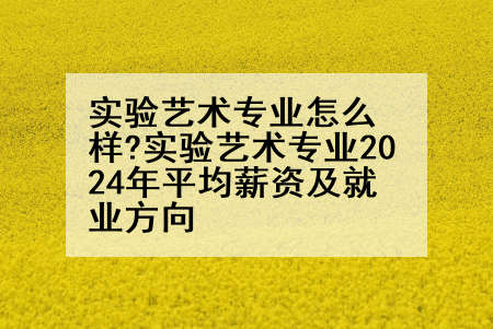 实验艺术专业怎么样?实验艺术专业2024年平均薪资及就业方向