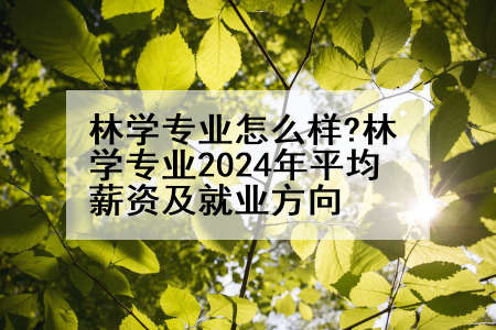 林学专业怎么样?林学专业2024年平均薪资及就业方向