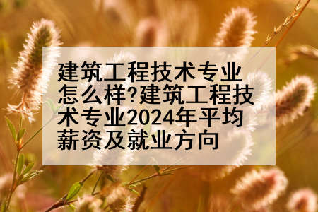 建筑工程技术专业怎么样?建筑工程技术专业2024年平均薪资及就业方向