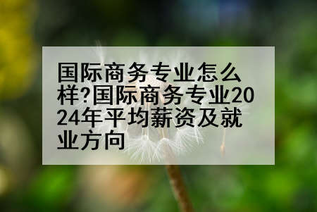 国际商务专业怎么样?国际商务专业2024年平均薪资及就业方向