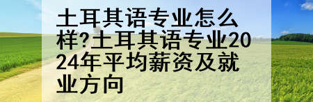 土耳其语专业怎么样?土耳其语专业2024年平均薪资及就业方向