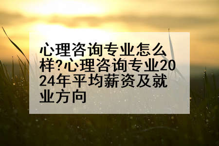 心理咨询专业怎么样?心理咨询专业2024年平均薪资及就业方向
