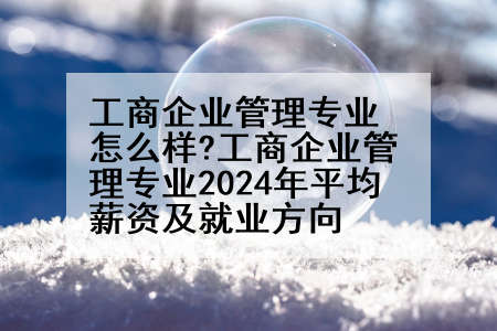 工商企业管理专业怎么样?工商企业管理专业2024年平均薪资及就业方向
