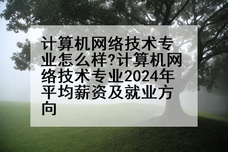计算机网络技术专业怎么样?计算机网络技术专业2024年平均薪资及就业方向