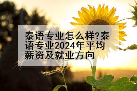 泰语专业怎么样?泰语专业2024年平均薪资及就业方向