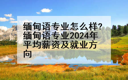 缅甸语专业怎么样?缅甸语专业2024年平均薪资及就业方向