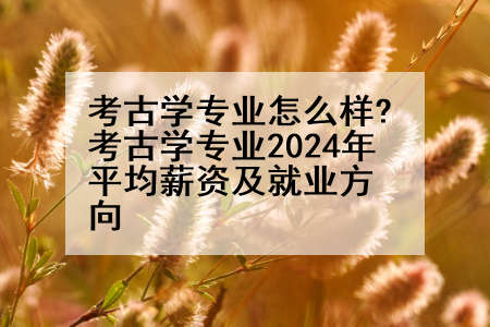 考古学专业怎么样?考古学专业2024年平均薪资及就业方向