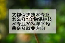 文物保护技术专业怎么样?文物保护技术专业2024年平均薪资及就业方向