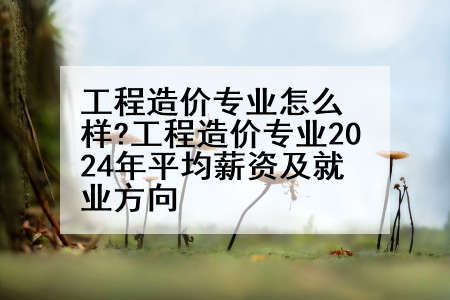 工程造价专业怎么样?工程造价专业2024年平均薪资及就业方向