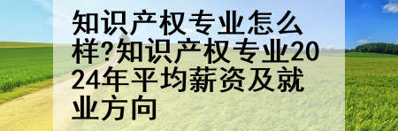 知识产权专业怎么样?知识产权专业2024年平均薪资及就业方向