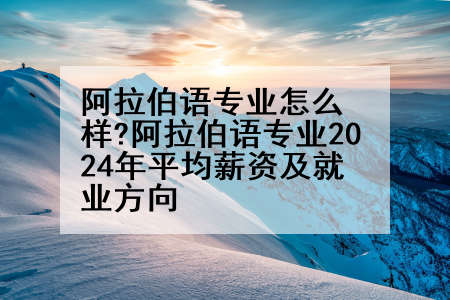 阿拉伯语专业怎么样?阿拉伯语专业2024年平均薪资及就业方向