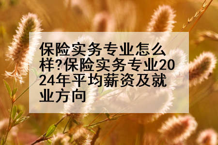 保险实务专业怎么样?保险实务专业2024年平均薪资及就业方向