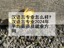 汉语言专业怎么样?汉语言专业2024年平均薪资及就业方向