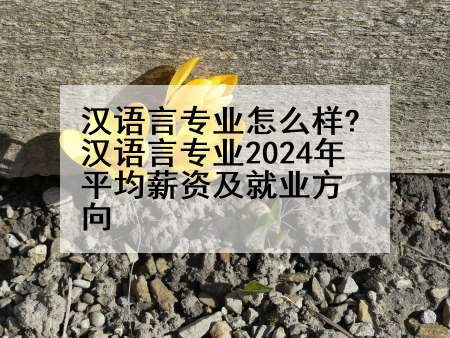 汉语言专业怎么样?汉语言专业2024年平均薪资及就业方向