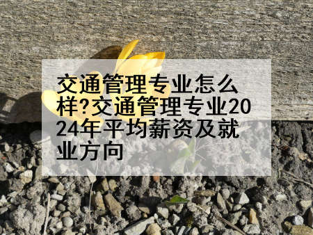 交通管理专业怎么样?交通管理专业2024年平均薪资及就业方向